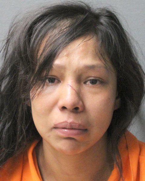 Rose Thomas mugshot